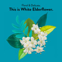 Choice Organics - Organic White Elderflower Tea (3 Pack) - Organic White & Green Tea - 48 Tea Bags
