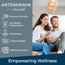 Artemisinin 150Mg - Extracted From Sweet Wormwood, 120 Vegetarian Capsules, Organic Artemisia Annua Supplement For Daily Detox, 4-Months Supply, Gmp Certified, Made In Usa