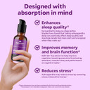 Ashwagandha Liposomal Liquid Formula For Enhanced Memory And Brain Performance, Ksm-66 Ashwagandha Extract, 2 Fl Oz, Chai Flavor