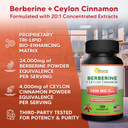 Asquared Nutrition Berberine With Ceylon Cinnamon Supplement - 1400Mg Max Strength Complex - 120 Capsules - 1200Mg Hcl Powder Extract Plus Pills - Alternative To Gummies & Drops