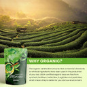 Authentic Japanese Ceremonial Matcha Green Tea Powder | Usda Organic | Premium First Harvest | Energy & Focus | Antioxidant Rich | 55+ Servings | 4 Oz (113G)