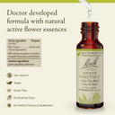 Bach Original Flower Remedies, Beech (Non-Alcohol Formula) - Be More Tolerant - Natural Homeopathic Flower Essence For Emotional Balance - Vegan, Gluten Free, Sugar Free - 10Ml Dropper