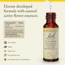 Bach Original Flower Remedies, Hornbeam (Non-Alcohol Formula) - Procrastinate Less - Natural Homeopathic Flower Essence For Emotional Balance - Vegan, Gluten Free, Sugar Free - 10Ml Dropper