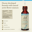 Bach Original Flower Remedies, Rock Rose (Non-Alcohol Formula) - Have Courage - Natural Homeopathic Flower Essence For Emotional Balance - Vegan, Gluten Free, Sugar Free - 10Ml Dropper