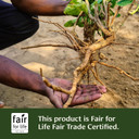 Banyan Botanicals Ashwagandha Powder  Organic Ashwagandha Root  Renowned Herbal Adaptogen For Natural Energy Support And Stress Support*  1/2Lb  Non-Gmo Sustainably Sourced Vegan