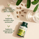 Banyan Botanicals Everyday Endurance  Organic Adaptogens Supplement  Herbal Superfoods And Adaptogens For Energy And Focus  90 Tablets  Non-Gmo Sustainably Sourced Vegan