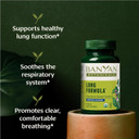 Banyan Botanicals Lung Formula  Organic Respiratory Support For Lung Health  Plant-Based Blend With Licorice, Tulsi Leaf, And Other Lung Health Herbs  90 Tablets  Non Gmo Fair For Life Vegan