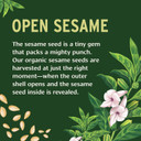 Banyan Botanicals Refined Sesame Oil  Organic Sesame Oil For Skin, Body, Hair & More  Multiple Sizes  24 Oz  Non Gmo Sustainably Sourced Vegan