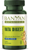 Banyan Botanicals Vata Digest  Organic Digestion Supplement  Warming & Balancing Digestion Aid To Support Comfortable Digestion*  90 Tablets  Non Gmo Sustainably Sourced Vegan
