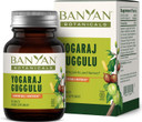 Banyan Botanicals Yogaraj Guggulu  Organic Joint Support Supplement ­­Ayurvedic Blend For Supporting The Skeletal And Neuromuscular Systems*  90 Tablets  Non-Gmo, Sustainably Sourced, Vegan