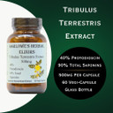 Barlowe'S Herbal Elixirs Tribulus Terrestris Extract | 40% Protodioscin & 90% Total Saponins | 500Mg Per Capsule | 60 Veggie Capsules | Glass Bottle