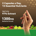 Berberine 1300Mg With Green Tea Extract, Resveratrol, Red Yeast Rice & Coq10  13-In-1 Immune Health, Natural Metabolic Support  60 Capsules  Non-Gmo, Lab Tested
