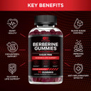 Berberine Gummies With Ceylon Cinnamon | Sugar-Free Supplement 1200Mg For Blood Sugar Support, Heart Health, Energy | 45-Day Supply, Natural Berry Flavor, Made In Usa (90 Count)