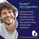 Bestvite Advanced Ashwagandha 120Mg W/Shoden (120 Vegetarian Capsules) - Clinically Studied Containing Industry Leading 35% Withanolide Glycosides - No Stearates - Vegan - Non Gmo - Gluten Free