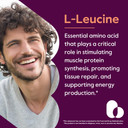 Bestvite L-Leucine 500Mg Per Capsule (480 Vegetarian Capsules) (240X2) - No Stearates - No Fillers - No Flow Agents - Vegan - Non Gmo - Gluten Free