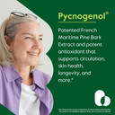 Bestvite Pycnogenol 100Mg (60 Capsules) - French Maritime Pine Bark Extract - No Stearates - Gluten Free - Non Gmo