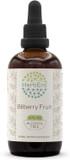 Bilberry Fruit B120 Alcohol-Free Herbal Extract Tincture, Concentrated Liquid Drops Natural Bilberry (Vaccinium Myrtillus) Dried Fruit 4 Fl Oz