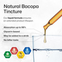 Bio Krauter Bacopa Monnieri Drops - Brain Support Brahmi Supplements - Liquid Bacopa Supplements - Alcohol & Sugar Free - Vegan 2 Fl.Oz