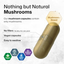 Bio Krauter Dozen Mushroom Complex Capsules 2100 Mg Blend - 100 Vegan Caps - 12 Extracts In One Mushroom Supplement For Immune Support - Lions Mane, Reishi, Cordyceps