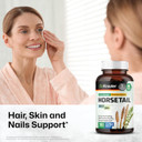 Bio Krauter Horsetail Herb Capsules - 800 Mg Strength - 100 Count - Horsetail Powder Capsules - Hair Support
