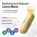 Bio Krauter Lions Mane Supplement Capsules 1800 Mg - 250 Count - Vegan Lions Mane Powder Supplement For Brain Support - 3 Month Supply - No Fillers