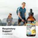 Bio Krauter Mullein Leaf Extract For Lungs 2 Fl. Oz - 28 Days Of Supply - Pure Mullein Drops For Lung Cleanse & Detox - Vegan Respiratory Supplements - Non-Gmo, No Sugar & Alcohol