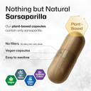 Bio Krauter Sarsaparilla Root Capsules - 1000 Mg Strength - 250 Vegan Sarsaparilla Extract Caps - No Fillers