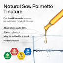 Bio Krauter Saw Palmetto Extract - Vegan Saw Palmetto For Men And Women - Urinary Support - Alcohol & Sugar Free - 4 Fl.Oz