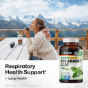 Bio Krauter Spearmint Capsules 1000 Mg - 100 Count - Vegan Spearmint Supplement For Digestive & Respiratory Support - Mentha Spicata - No Fillers