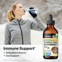 Bio Krauter Turkey Tail Mushroom Supplement - Turkey Tail Extract For Immune Support - Vegan, Alcohol & Sugar Free Drops 4 Fl.Oz