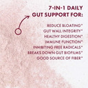 Biohm Digestive Greens, Green Superfood Powder (7.4 Oz, 30 Servings) Immune & Gut Health Support With Antioxidants, Vitamins, Probiotics & Enzymes, Good Source Of Fiber, Berry Flavor