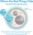 Biohm Gut-Brain Connection Memory & Focus Supplement (6.74 Oz, 30 Servings) Supports Gut Health & Cognitive Well-Being, Helps Enhance Mood, Probiotics, Lion'S Mane & Bacopa Monneiri, Chocolate Flavor