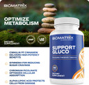 Biomatrix Metabolism Supplement For Men And Women, Cinnamon, Gymnema, Lipoic Acid, Vanadyl Sulfate, Chromium Picolinate, Bitter Melon (60 Capsules)