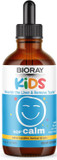 Bioray Kids Ndf Calm, Vanilla - 4 Fl Oz - Nourish The Liver & Remove Toxins - Non-Gmo, Vegan, Gluten Free - 2-4 Month Supply