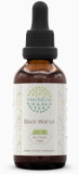 Black Walnut B60 Alcohol-Free Herbal Extract Tincture, Concentrated Liquid Drops Natural Black Walnut (Juglans Nigra) (2 Fl Oz)