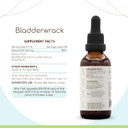 Bladderwrack B120 Alcohol-Free Herbal Extract Tincture, Concentrated Liquid Drops Natural Bladderwrack (Fucus Vesiculosus) Dried Plant (4 Fl Oz)