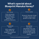Blueprint By Bryan Johnson Manuka Honey - Mgo 260+ - New Zealand Sourced - (8 Oz)