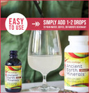 Body Ecology Ancient Earth Liquid Minerals | 100% Plant-Derived Trace Mineral Liquid Supplement | Fast-Absorbing Electrolyte Solution For Immune Support | 60 Servings (2 Fl Oz)