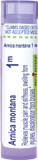 Boiron Arnica Montana 1M For Muscle Pain, Stiffness, Swelling From Injuries & Bruises - 80 Pellets