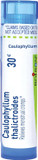Boiron Caulophyllum Thalictroides 30C Homeopathic Medicine For Menstrual Cramps - 80 Pellets