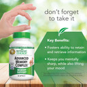 Botanic Choice Advanced Memory Complex - Mood Support Brain Supplements For Memory And Focus - Proprietary Herbal Blend With Ginkgo Biloba - Gluten And Allergen Free - 60 Count Pills