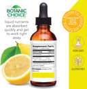 Botanic Choice Lemon Balm Liquid Extract, Alcohol Free, Gluten Free-Traditional Support For Tranquility-Fast Acting 1 Fluid Oz