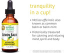 Botanic Choice Lemon Balm Liquid Extract, Alcohol Free, Gluten Free-Traditional Support For Tranquility-Fast Acting 1 Fluid Oz