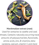 Botanic Choice Marshmallow Root Liquid Extract - Alcohol Free, Gluten Free, Traditional Throat And Respiratory Support 1 Fl. Oz