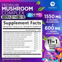 Brain Mushroom Powder - Mushroom Extract Powder, 11 In 1 Complex Mushroom Supplement With Organic Lions Mane, Reishi, Cordyceps, Chaga, Turkey Tail, Maitake For Energy & Immune Support - 60 Servings