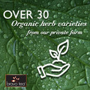 Bravo Tea Sleep & Renew Herbal Tea Caffeine Free, 20 Tea Bags