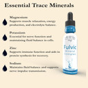 Buried Treasure Fulvic Mineral Drops  295Mg Trace Minerals, Ionic Fulvic Acid Supplement For Hydration, Energy & Electrolyte Support, Vegan, Non-Gmo, 2 Fl Oz Liquid Drops