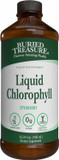 Buried Treasure Liquid Chlorophyll 100 Mg Dietary Supplement, Energy Boost Immune Support Detox Intestinal Digestive Support Natural Body Deodorant Vegan Non-Gmo Alcohol Free Spearmint Flavor,16 Oz