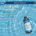Buried Treasure Purified Silver Liquid 30 Ppm - 16 Oz. 96 Servings, Non-Accumulative Nano Silver Solution, Spray & Dietary Immune Supplement