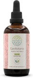 Cardiotonix B120 Alcohol-Free Extract Tincture, Concentrated Liquid Drops Hawthorn Leaf And Flower, Garlic Bulb, Olive Leaf, Grape Seed, Bilberry Leaf, Dan Shen Root, Reishi Mushroom. 4 Fl Oz